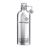 Montale Vanille Absolu Eau de Parfum 100ml (Tester)